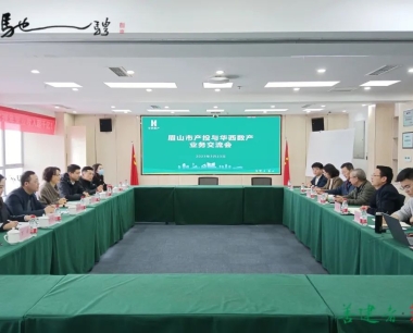 華西數産與眉山産投開展業務交流