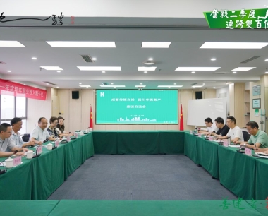 【奮戰二季度 連跨雙百億】探尋“數字+文化”跨界合作新契機，華西數産同文投公司開展業務交流座談