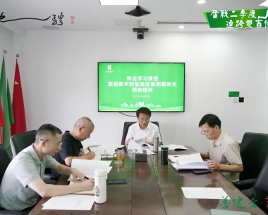 【深入開展主題教育】公司領導班子(zǐ)傳達學習領悟集團數字轉型典型案例解剖式調研精神