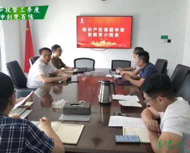 【攻堅三季度 沖刺雙百億】公司黨支部第一(yī / yì ／yí)黨小組召開會議，專題部署知識産權相關工作