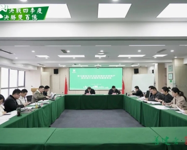 華西數産召開學習貫徹集團黨委副書記、副董事長、總經理馬林調研華西數産經濟運行會會議精神專題落實會——融服事業部