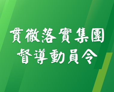 【貫徹落實集團督導動員令】集團首席數字官，公司黨支部書記、董事長丁雲波專項督導數字化咨詢及集成服務開展