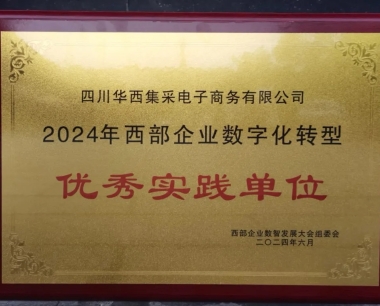 【喜訊】公司榮獲2024西部企業數智發展大(dà)會兩項重磅表彰！