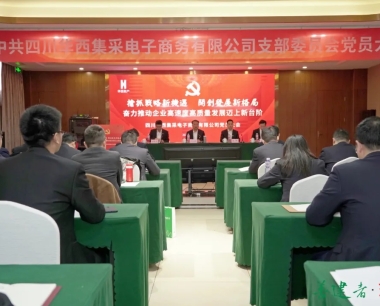 【決戰四季度 奮戰80天】搶抓戰略新機遇，開創發展新格局，公司黨員大(dà)會勝利召開并選舉産生新一(yī / yì ／yí)屆黨支部委員會委員